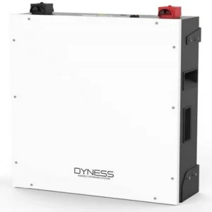 Buy DYNESS LITHIUM BATTERY A48100